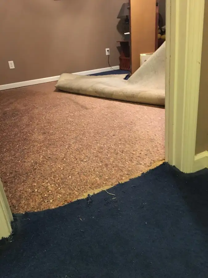 Carpet pad removal revealing water damage during Drying & Dehumidification in Zanesville