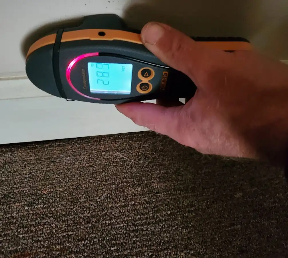 Moisture detection at baseboard during Sewage Cleanup & Sanitation in Zanesville